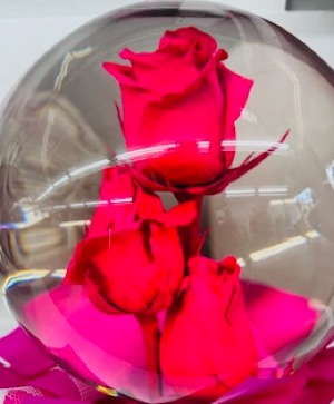 Triple pink rose globe  
