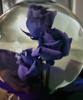 Triple purple rose globe  