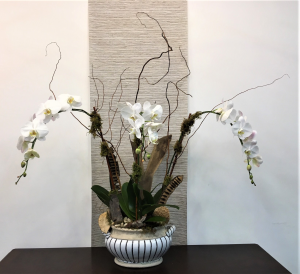 Triple White Waterfall Orchid Plant in Boca Raton, FL | FLOWERS OF BOCA Triple White Waterfall Orchid Plant in Boca Raton, FL | FLOWERS OF BOCA