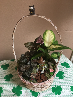 trolls garden basket garden