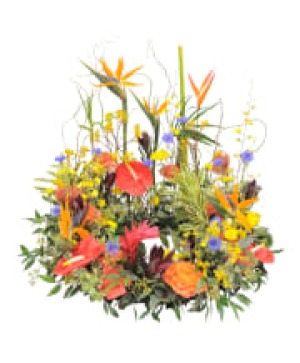 Tropic Breeze Urn Wreath  Urn Wreath 