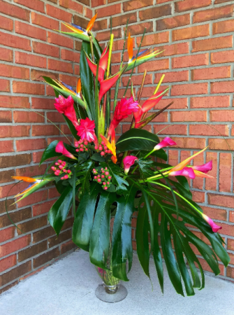 Tropic Explosion