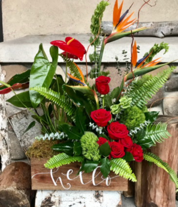  Tropic romance   in Eagle, ID | HOPE BLOOMS FLOWERS & THINGS