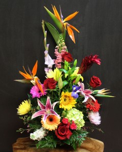 Tropical Arrangement