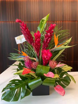 Tropical Arrangement in Coconut Grove, FL | Luxury Flowers Tropical Arrangement in Coconut Grove, FL | Luxury Flowers