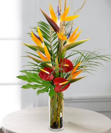 Tropical arrangement  Any occasion 