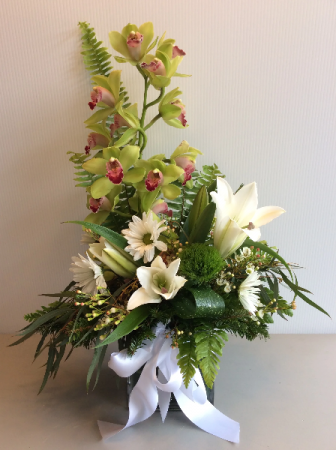 Tropical Arrangment