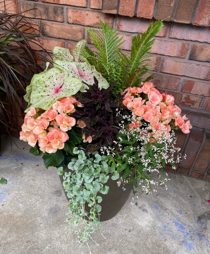 Tropical Beauty Patio Planter