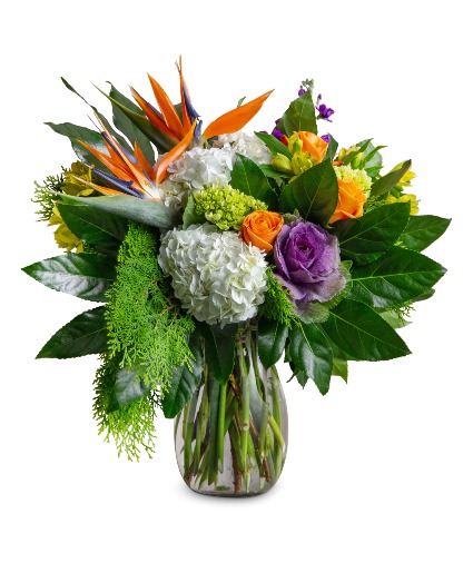 Tropical Blends All Around Arrangement