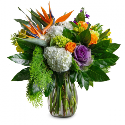 Tropical Blends Arrangement