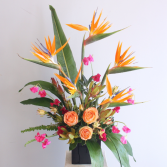 Tropical Bliss LOCAL DELIVERY ONLY