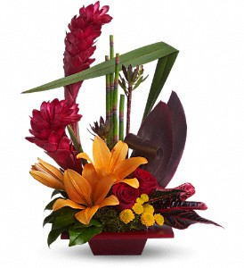 T* Tropical Bliss  T85-1A  in Fort Worth, TX | DAVIS FLORAL DESIGNS