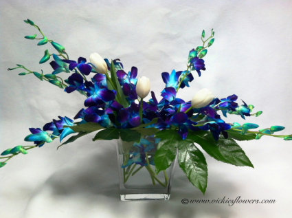 Tropical Blue Dendrobium Orchids Vase Arrangement