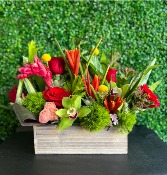 Tropical Box Arrangement