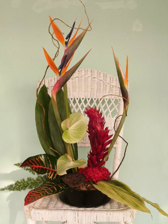 Tropical Breeze Stylized arrangement