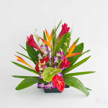 Tropical Breeze Fresh Arrangement 