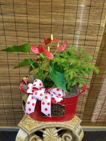 Tropical Celebration