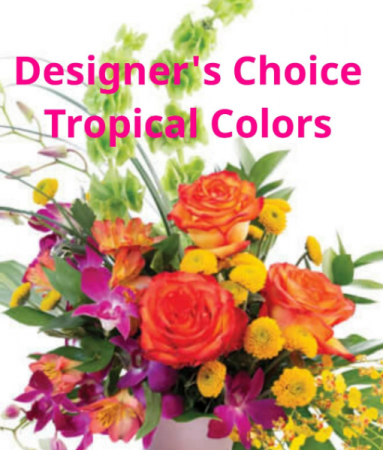 Tropical Colors Designer's Choice