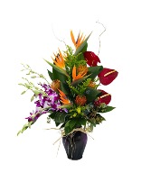 Tropical Daydreams Flower Arrangement