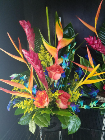 Tropical Delight
