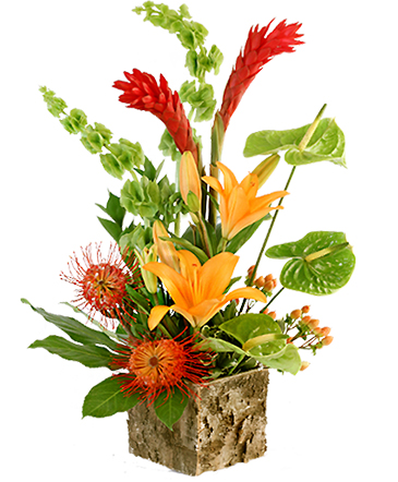 Tropical Delight  in Cisco, TX | WILDFLOWERS FLORIST