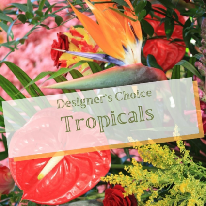 Tropical Delights 