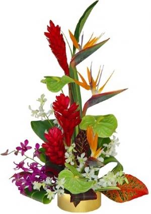 TROPICAL DELIGHTS ARRANGEMENT in Garrett Park, MD | ROCKVILLE FLORIST & GIFT BASKETS TROPICAL DELIGHTS ARRANGEMENT in Garrett Park, MD | ROCKVILLE FLORIST & GIFT BASKETS
