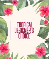 TROPICAL DESIGNER'S CHOICE  