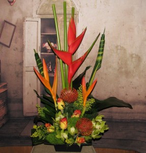 Tropical Distinction Tropical