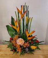 Tropical escape