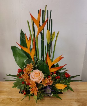 Tropical escape 