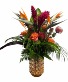 Tropical Escape Mother's Day