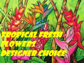 Tropical Floral Arr Designer Choice flower arrangement