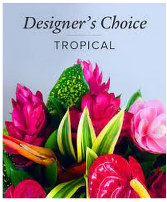 Tropical Flower Arrangement Designer Choice Fresh Floral Arrangement