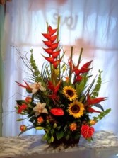 Tropical Fusion Topical Arrangement