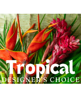 Tropical Garden Designer's Choice