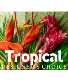Tropical Garden Designer's Choice