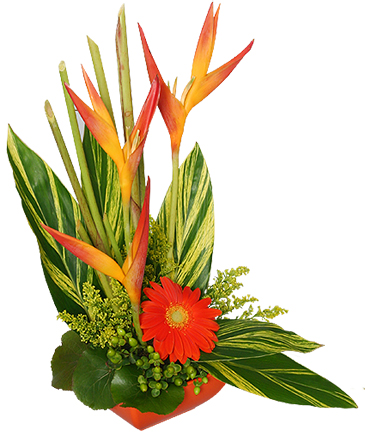 TROPICAL HEAT Arrangement in Worthington, OH | UP-TOWNE FLOWERS & GIFT SHOPPE