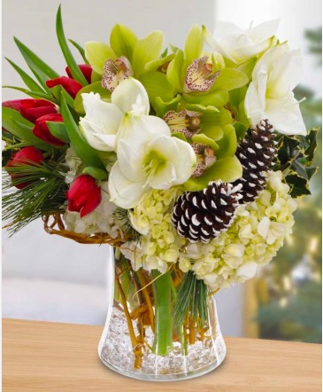 Tropical Holiday  in Williamsburg, VA | Blessing and Blooms Florist