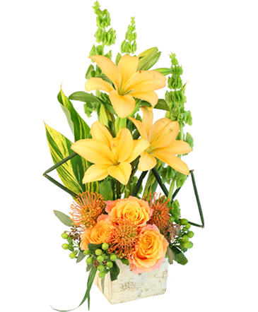 Tropical Honey Floral Design in Newark, OH | JOHN EDWARD PRICE FLOWERS & GIFTS