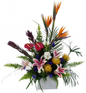 Tropical Impression Container Arrangement in Akron, PA | ROXANNE'S FLOWERS