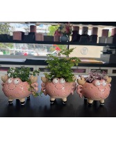 Tropical in Crab 2" Planter