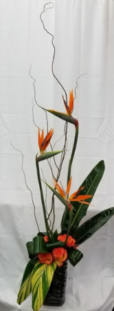 Tropical Madness fresh tropical arrangements in Bolivar, MO | The Flower Patch & More