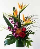 TROPICAL PARADISE Floral Arrangement