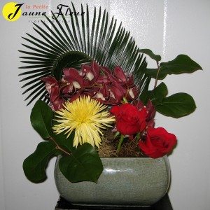 Tropical-Paradise Found