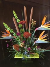 Tropical Paradise Modern