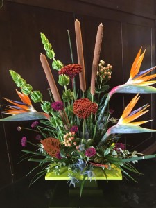 Tropical Paradise Modern