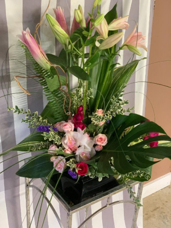 Tropical Paradise Special Occasion