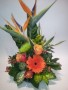 TROPICAL PRIDE AND JOY Dish arrangement