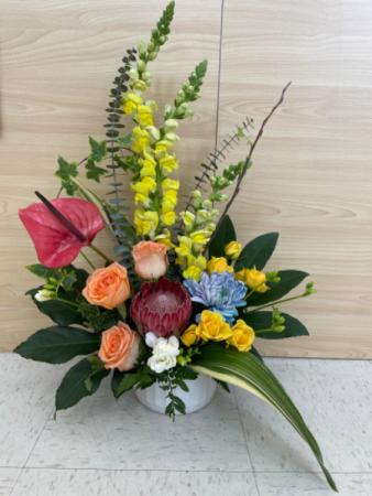 Tropical protea